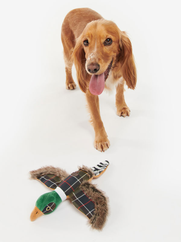 Barbour_Dog_Pheasant_Toy